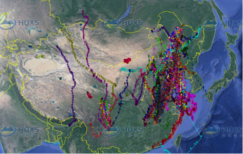乐橙国际,湖南野生动物追踪,湖南卫星追踪器,湖南追踪器