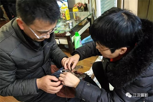 乐橙国际,湖南野生动物追踪,湖南卫星追踪器,湖南追踪器