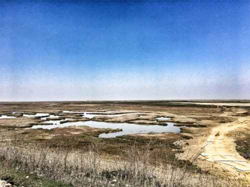 乐橙国际,湖南野生动物追踪,湖南卫星追踪器,湖南追踪器