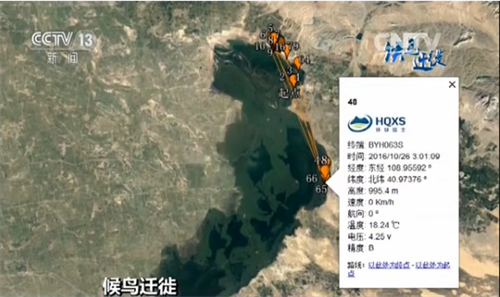 乐橙国际,湖南野生动物追踪,湖南卫星追踪器,湖南追踪器