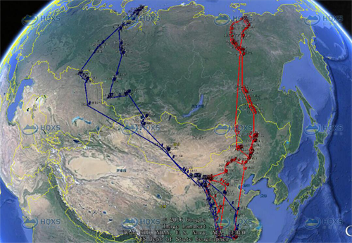 乐橙国际,湖南野生动物追踪,湖南卫星追踪器,湖南追踪器