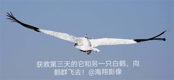 乐橙国际,湖南野生动物追踪,湖南卫星追踪器,湖南追踪器