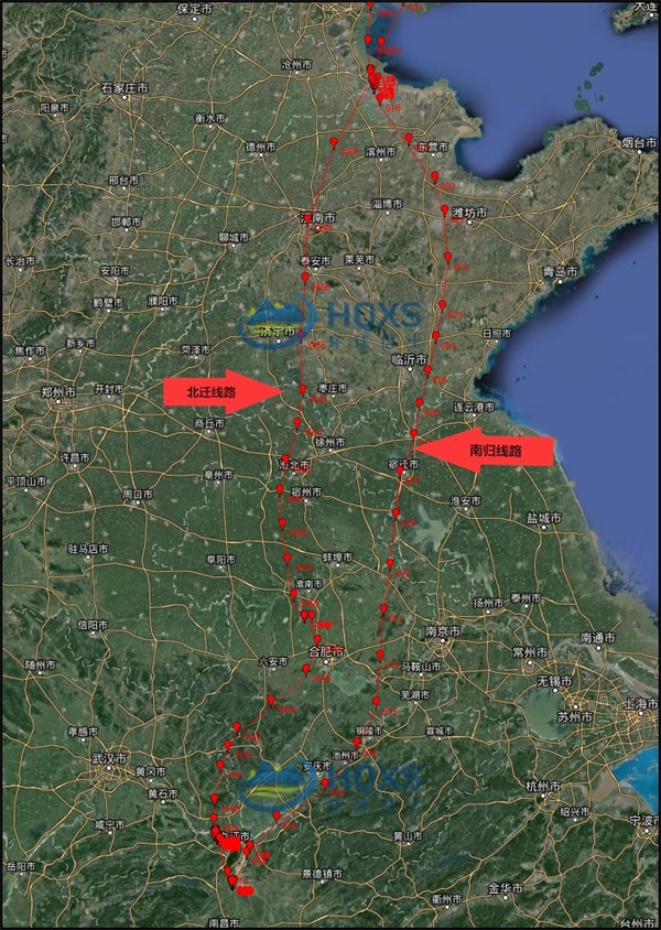 乐橙国际,湖南野生动物追踪,湖南卫星追踪器,湖南追踪器