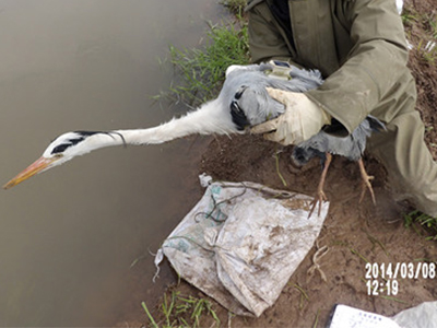 乐橙国际,湖南野生动物追踪,湖南卫星追踪器,湖南追踪器