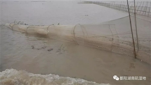 乐橙国际,湖南野生动物追踪,湖南卫星追踪器,湖南追踪器