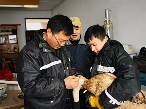 乐橙国际,湖南野生动物追踪,湖南卫星追踪器,湖南追踪器