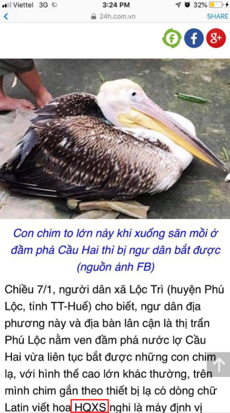 乐橙国际,湖南野生动物追踪,湖南卫星追踪器,湖南追踪器