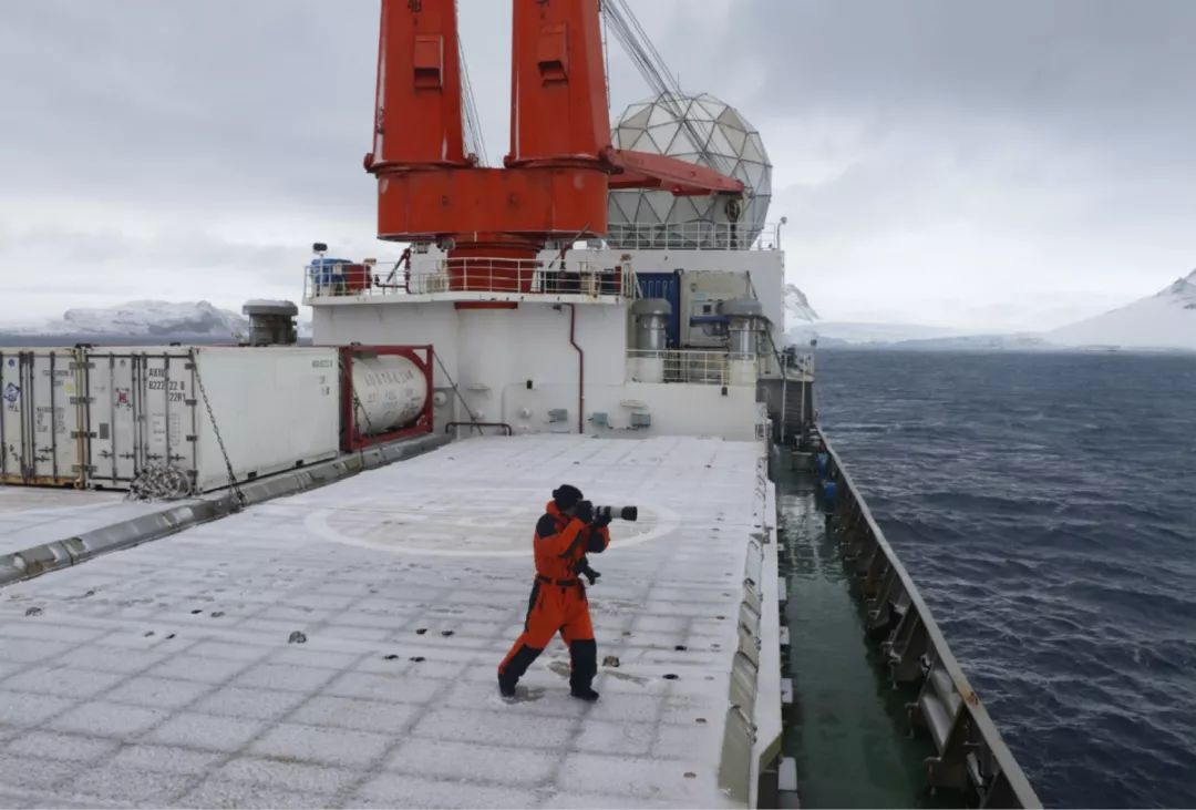 乐橙国际,湖南野生动物追踪,湖南卫星追踪器,湖南追踪器