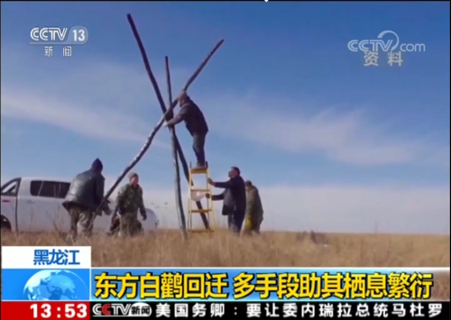 乐橙国际,湖南野生动物追踪,湖南卫星追踪器,湖南追踪器