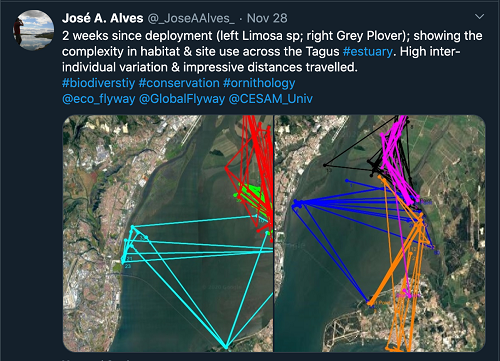 乐橙国际,湖南野生动物追踪,湖南卫星追踪器,湖南追踪器