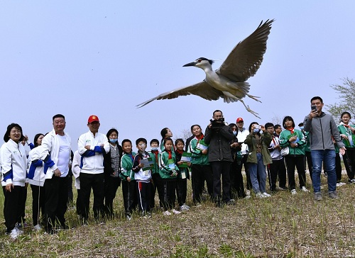乐橙国际,湖南野生动物追踪,湖南卫星追踪器,湖南追踪器