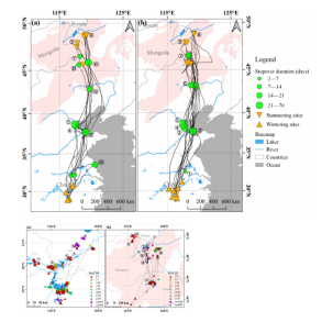 乐橙国际,湖南野生动物追踪,湖南卫星追踪器,湖南追踪器