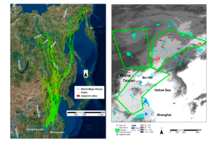 乐橙国际,湖南野生动物追踪,湖南卫星追踪器,湖南追踪器