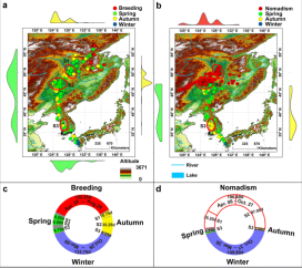 乐橙国际,湖南野生动物追踪,湖南卫星追踪器,湖南追踪器