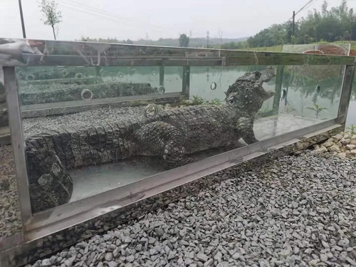 乐橙国际,湖南野生动物追踪,湖南卫星追踪器,湖南追踪器