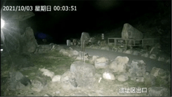 乐橙国际,湖南野生动物追踪,湖南卫星追踪器,湖南追踪器