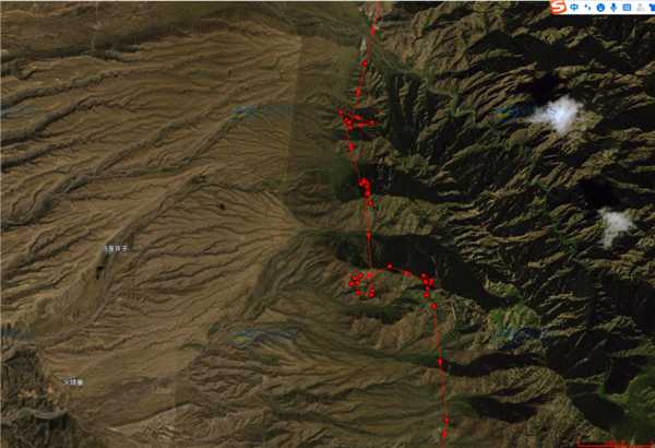 乐橙国际,湖南野生动物追踪,湖南卫星追踪器,湖南追踪器