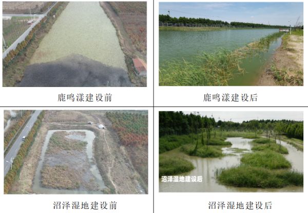 乐橙国际,湖南野生动物追踪,湖南卫星追踪器,湖南追踪器