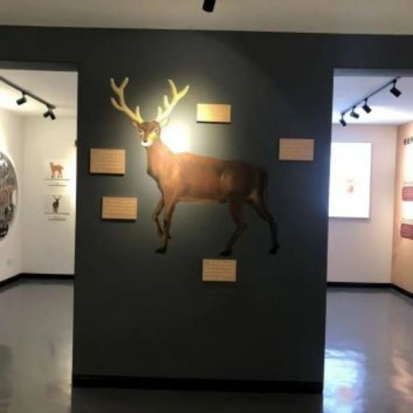 乐橙国际,湖南野生动物追踪,湖南卫星追踪器,湖南追踪器