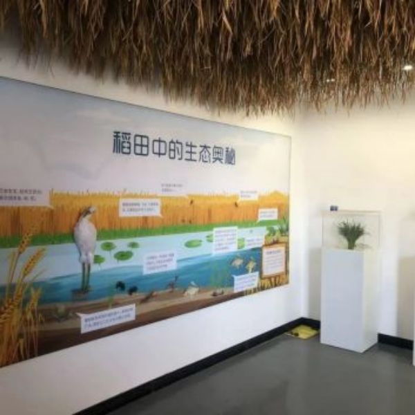 乐橙国际,湖南野生动物追踪,湖南卫星追踪器,湖南追踪器