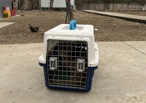 乐橙国际,湖南野生动物追踪,湖南卫星追踪器,湖南追踪器