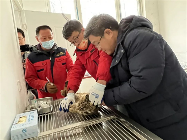 乐橙国际,湖南野生动物追踪,湖南卫星追踪器,湖南追踪器