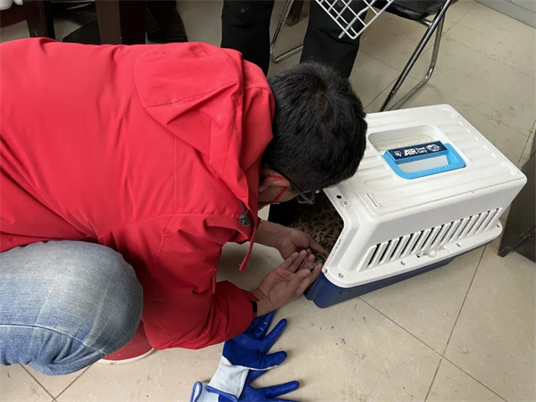 乐橙国际,湖南野生动物追踪,湖南卫星追踪器,湖南追踪器