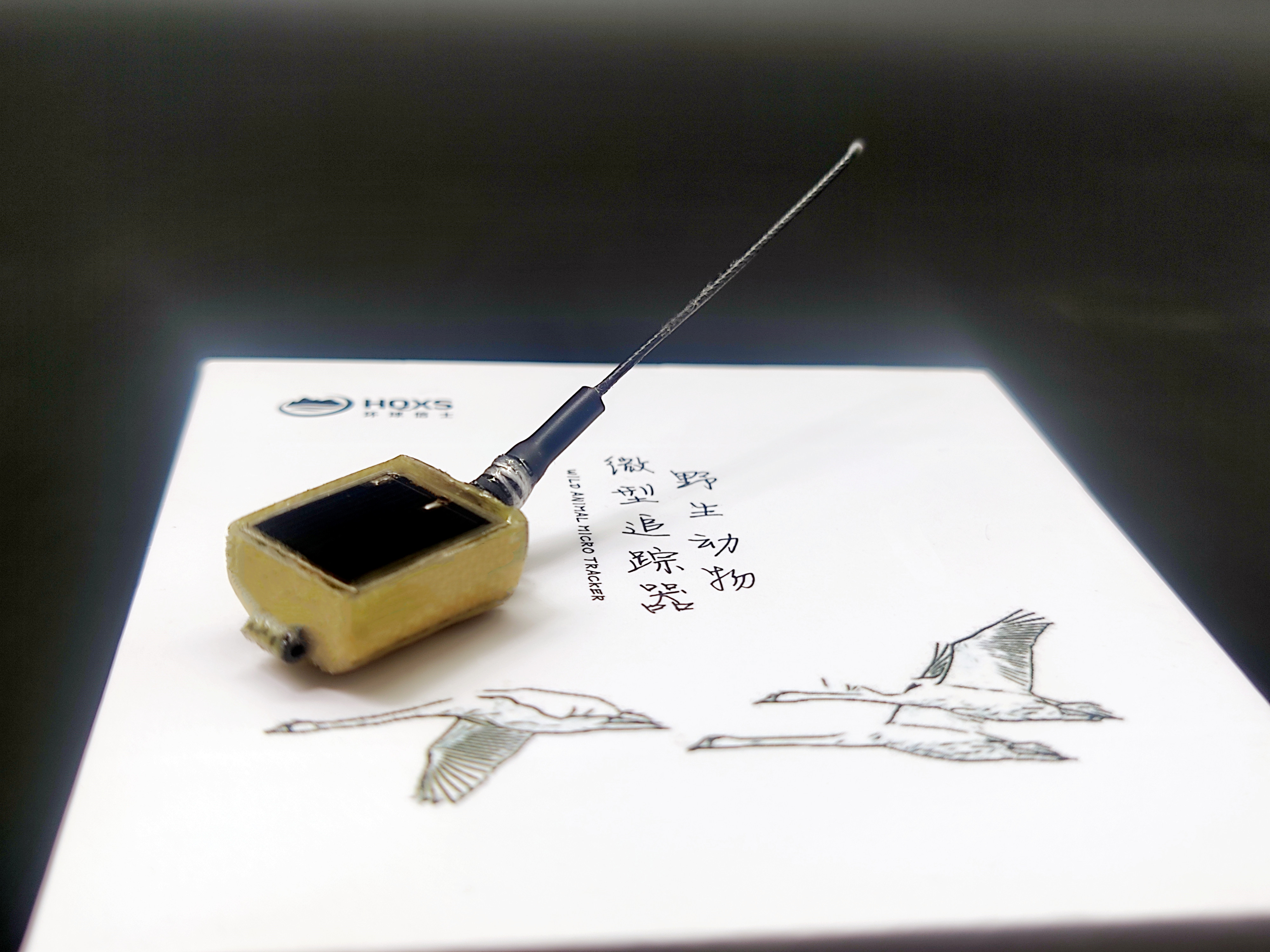 乐橙国际,湖南野生动物追踪,湖南卫星追踪器,湖南追踪器