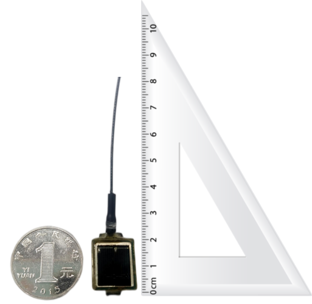 乐橙国际,湖南野生动物追踪,湖南卫星追踪器,湖南追踪器