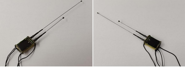 乐橙国际,湖南野生动物追踪,湖南卫星追踪器,湖南追踪器