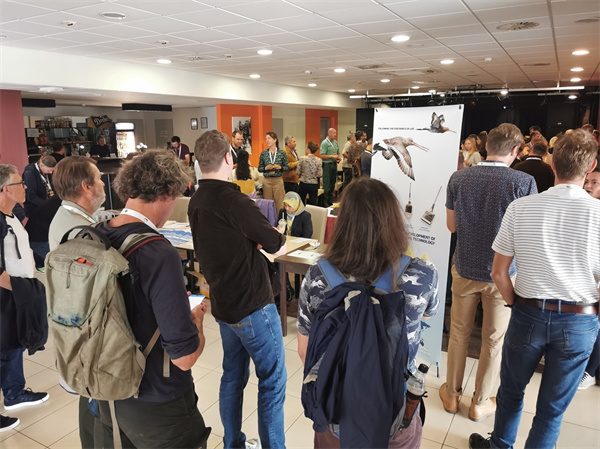 乐橙国际,湖南野生动物追踪,湖南卫星追踪器,湖南追踪器