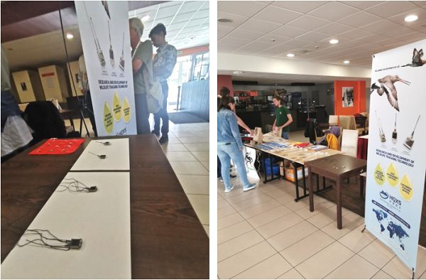 乐橙国际,湖南野生动物追踪,湖南卫星追踪器,湖南追踪器