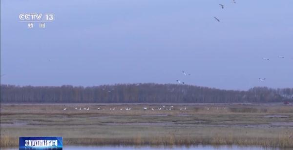 乐橙国际,湖南野生动物追踪,湖南卫星追踪器,湖南追踪器
