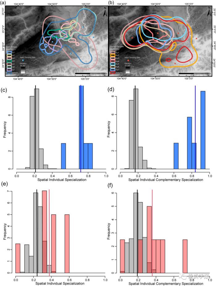 乐橙国际,湖南野生动物追踪,湖南卫星追踪器,湖南追踪器