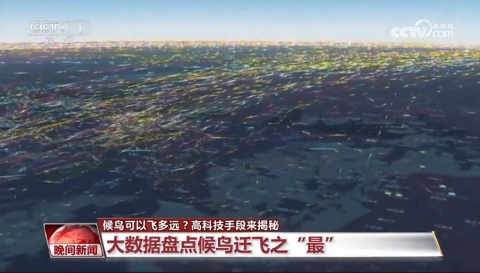 乐橙国际,湖南野生动物追踪,湖南卫星追踪器,湖南追踪器