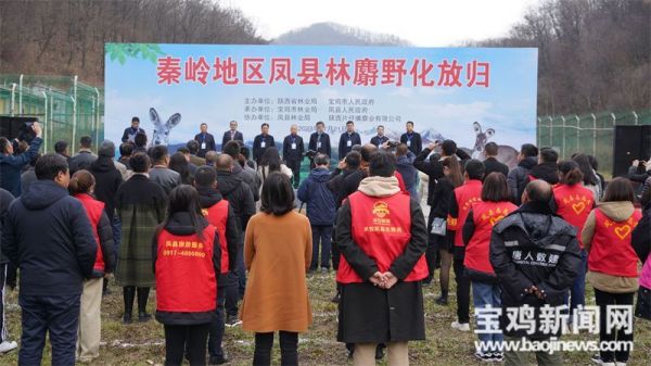 乐橙国际,湖南野生动物追踪,湖南卫星追踪器,湖南追踪器