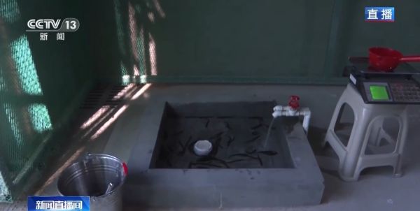 乐橙国际,湖南野生动物追踪,湖南卫星追踪器,湖南追踪器