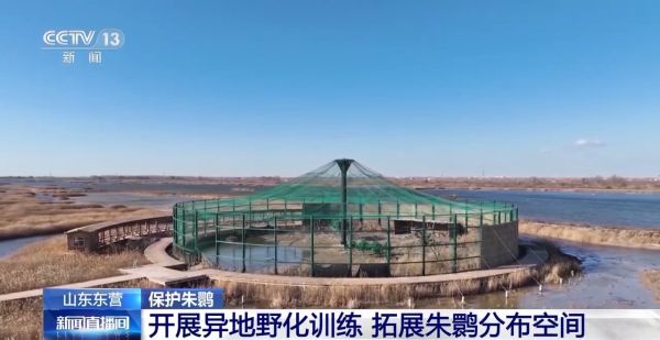 乐橙国际,湖南野生动物追踪,湖南卫星追踪器,湖南追踪器