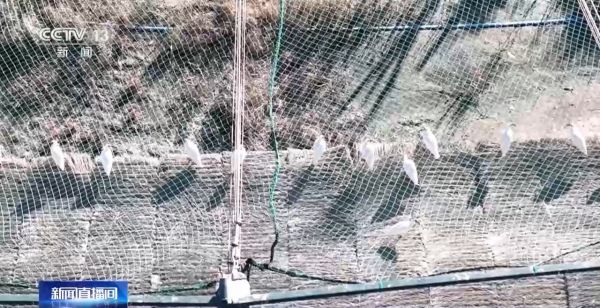 乐橙国际,湖南野生动物追踪,湖南卫星追踪器,湖南追踪器