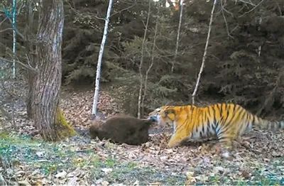 乐橙国际·lc8(中国游)官方网站