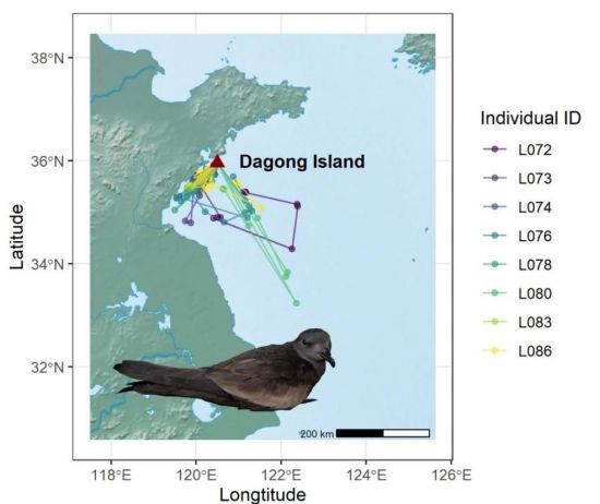 乐橙国际,湖南野生动物追踪,湖南卫星追踪器,湖南追踪器
