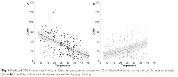 乐橙国际,湖南野生动物追踪,湖南卫星追踪器,湖南追踪器