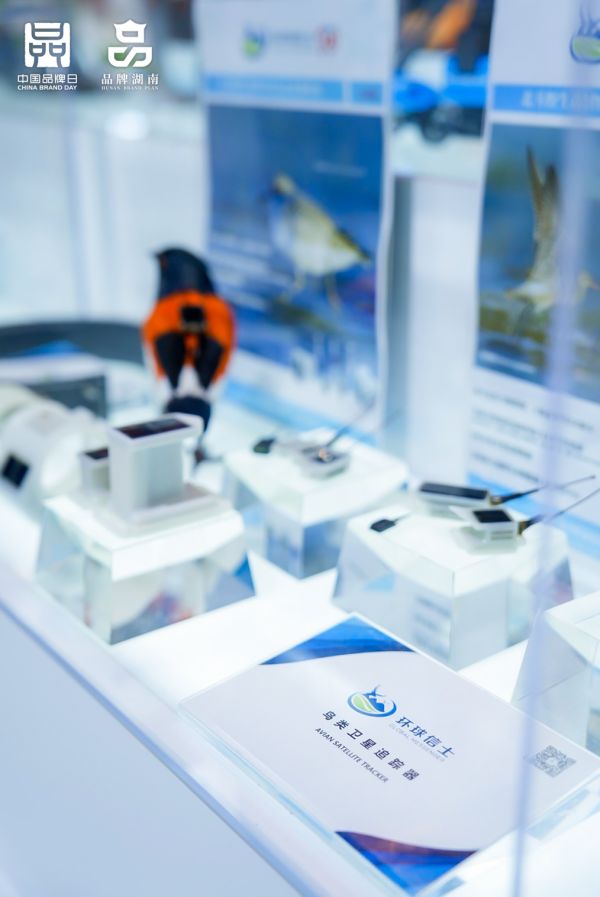 乐橙国际,湖南野生动物追踪,湖南卫星追踪器,湖南追踪器