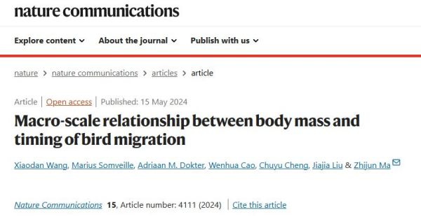 乐橙国际,湖南野生动物追踪,湖南卫星追踪器,湖南追踪器