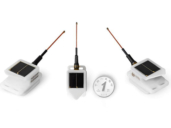 乐橙国际,湖南野生动物追踪,湖南卫星追踪器,湖南追踪器