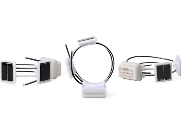 乐橙国际,湖南野生动物追踪,湖南卫星追踪器,湖南追踪器