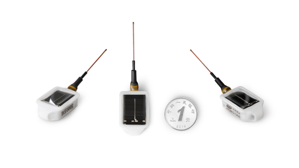 乐橙国际,湖南野生动物追踪,湖南卫星追踪器,湖南追踪器