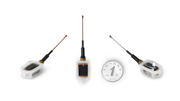 乐橙国际,湖南野生动物追踪,湖南卫星追踪器,湖南追踪器