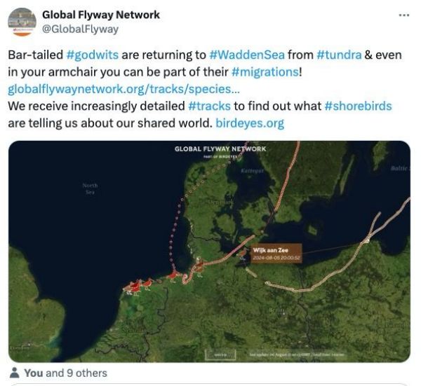 乐橙国际,湖南野生动物追踪,湖南卫星追踪器,湖南追踪器