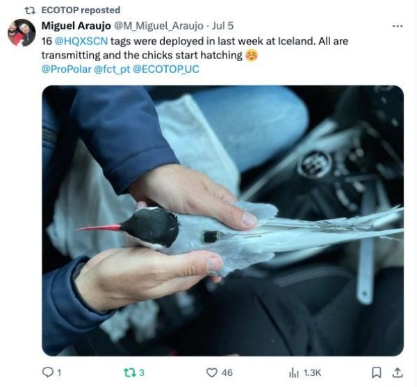 乐橙国际,湖南野生动物追踪,湖南卫星追踪器,湖南追踪器